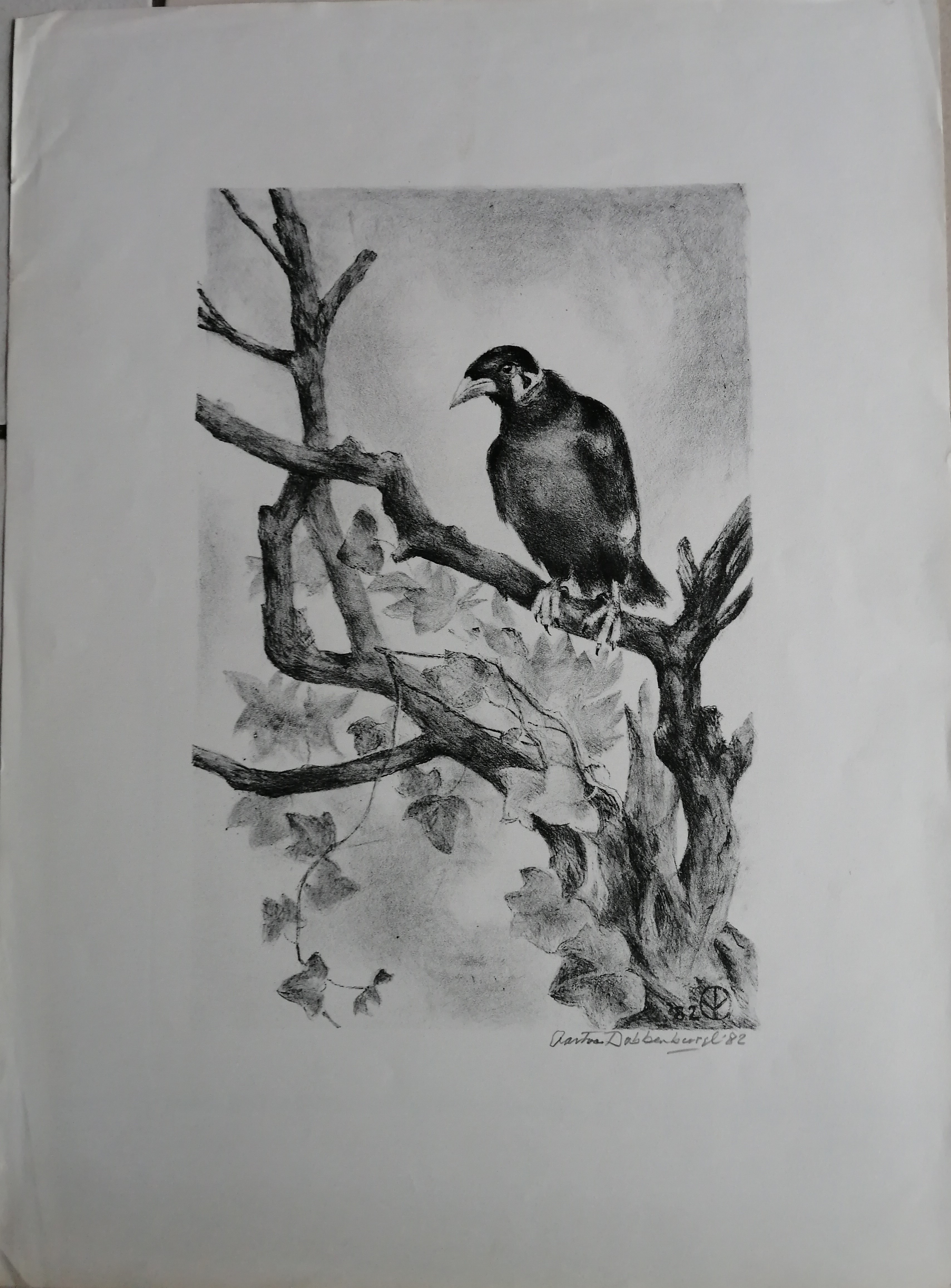 Aart van Dobbenburgh - Vogel op tak kopen? Bied vanaf 25!