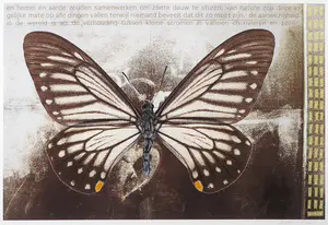 Mark Verdoes - Giclée, Vlinder - Ingelijst kopen? Bied vanaf 35!
