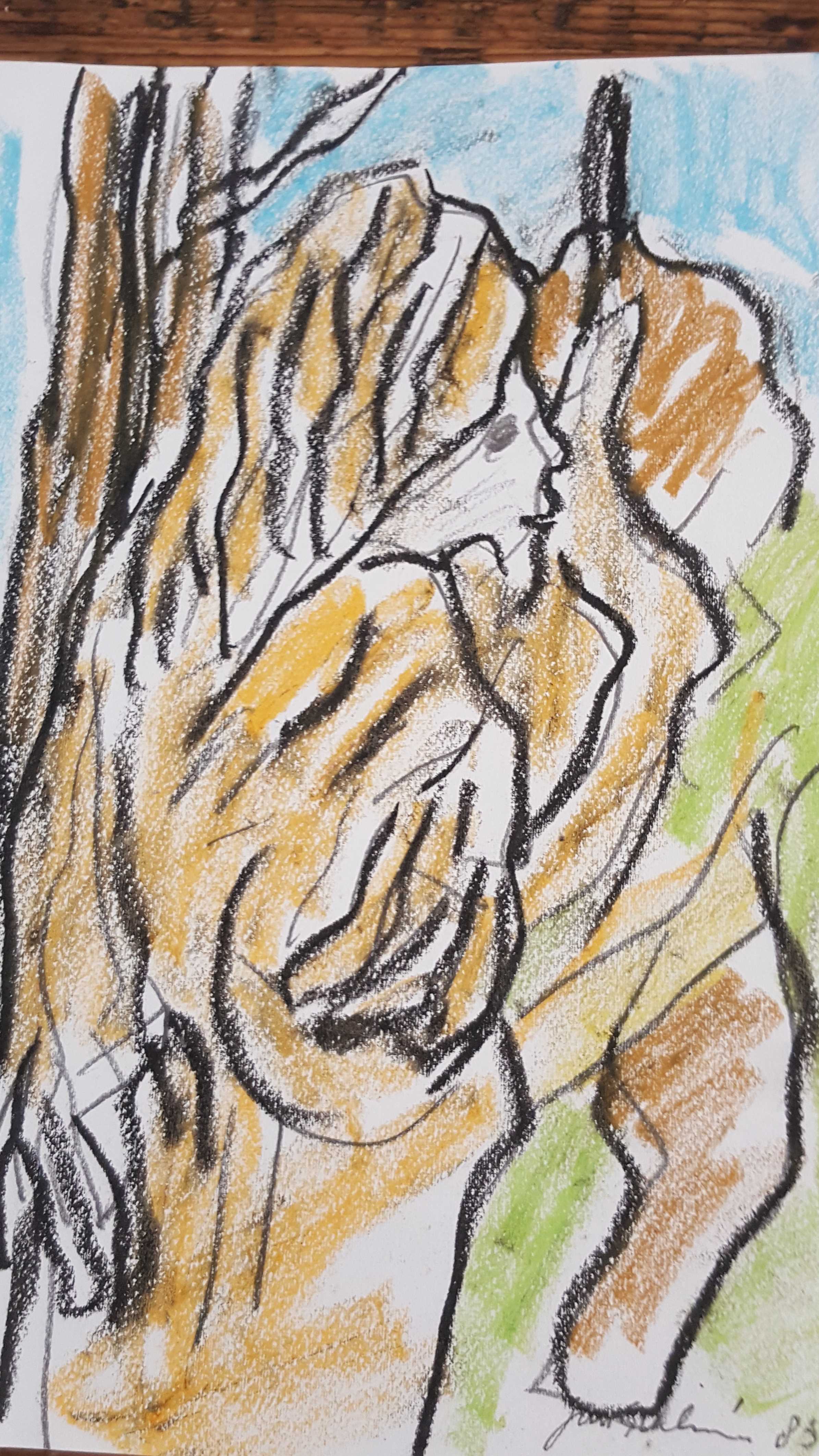 Jan Sierhuis - pastel/krijt op papier kopen? Bied vanaf 120!