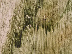 Ilona Mandy - Green Valley kopen? Bied vanaf 45!