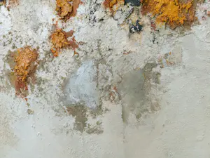 Gerard Strik - Geen Titel (Groot!) kopen? Bied vanaf 1000!