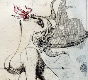 Dan Erceanu - Index kopen? Bied vanaf 39!