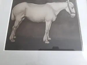 Jan Mankes - Originele Heliogravure Paard, 1923 kopen? Bied vanaf 120!