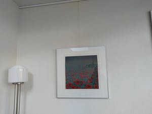 Hans Dolieslager - Klaprozen - kopen? Bied vanaf 120!