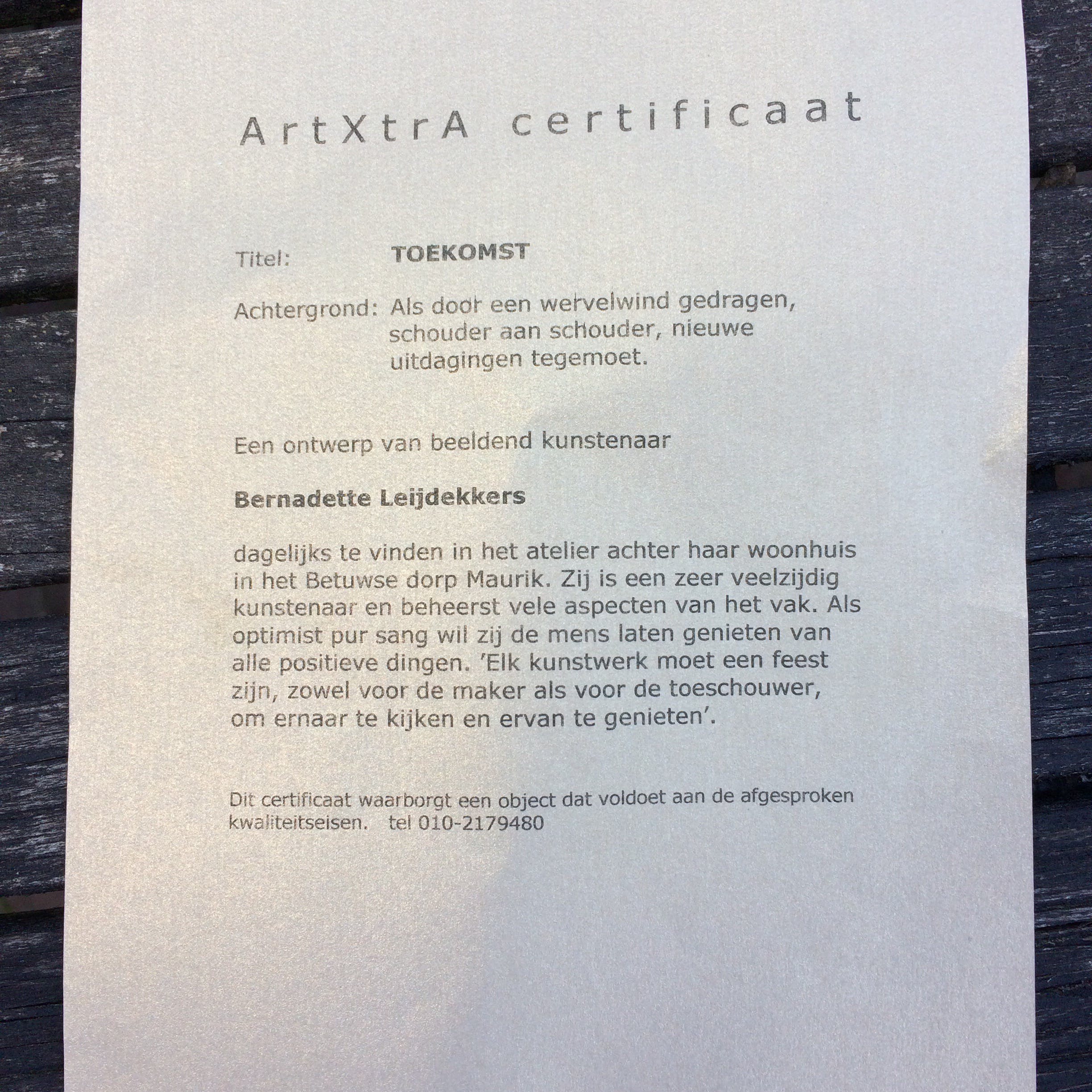 Bernadette Leijdekkers - Toekomst kopen? Bied vanaf 50!