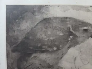 Jan Mankes - Roofvogel op tak. kopen? Bied vanaf 49!