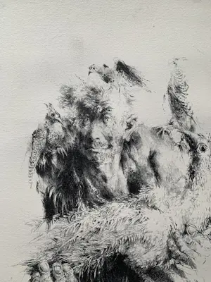 Jan Mensinga - Litho Oude Man met Vogels kopen? Bied vanaf 35!