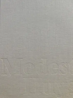 Modest Huys - Leven en werk van Modest Huys (1874-1932) kopen? Bied vanaf 40!