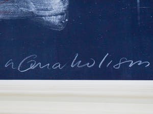 Michael Tedja - Aquaholisme - kleurenets kopen? Bied vanaf 100!