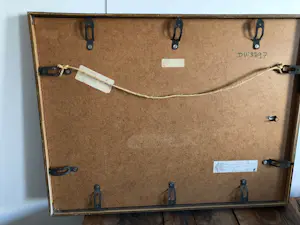 Jan Kuiper - Buitenaardse wezens kopen? Bied vanaf 100!