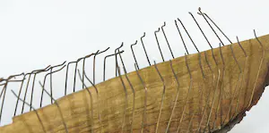 Erica Wesseling - Sculptuur in gemengde techniek, Horny melon kopen? Bied vanaf 1!