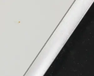 Espen Hagen - Zeefdruk, Winnyto - Ingelijst kopen? Bied vanaf 50!