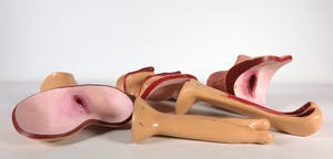 Merijn Bolink - Beschilderd polyester, The Pentasexual System (incl. gesigneerd boek) kopen? Bied vanaf 50!