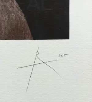 Rob Scholte - Glossy XXII, piëzografie (groot, kleine oplage) kopen? Bied vanaf 350!