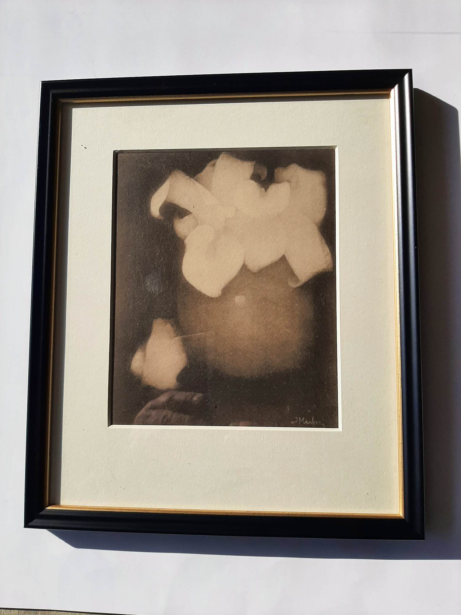 Jan Mankes - Originele Heliogravure , Aronskelken 1923 kopen? Bied vanaf 60!