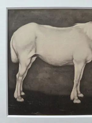 Jan Mankes - Paard. Ingelijst. kopen? Bied vanaf 119!