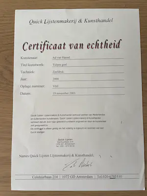 Ad van Hassel - Tulpen geel kopen? Bied vanaf 100!