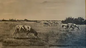 Max Liebermann - 7 x gravures uitgegeven door A Schumann's Verlag - Leipzig kopen? Bied vanaf 1!