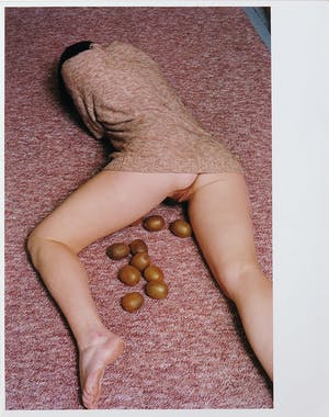 Ellen Mandemaker - Foto, Kiwi kopen? Bied vanaf 100!