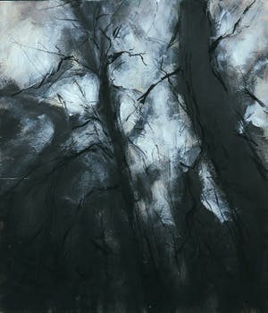 Wim de Bruin - Acryl met krijt op hardboard, Licht tussen de bomen (met ophangsysteem) kopen? Bied vanaf 50!
