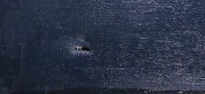 Irene Hu - Gemengde techniek op doek, Visie, vogels (Groot) kopen? Bied vanaf 1!