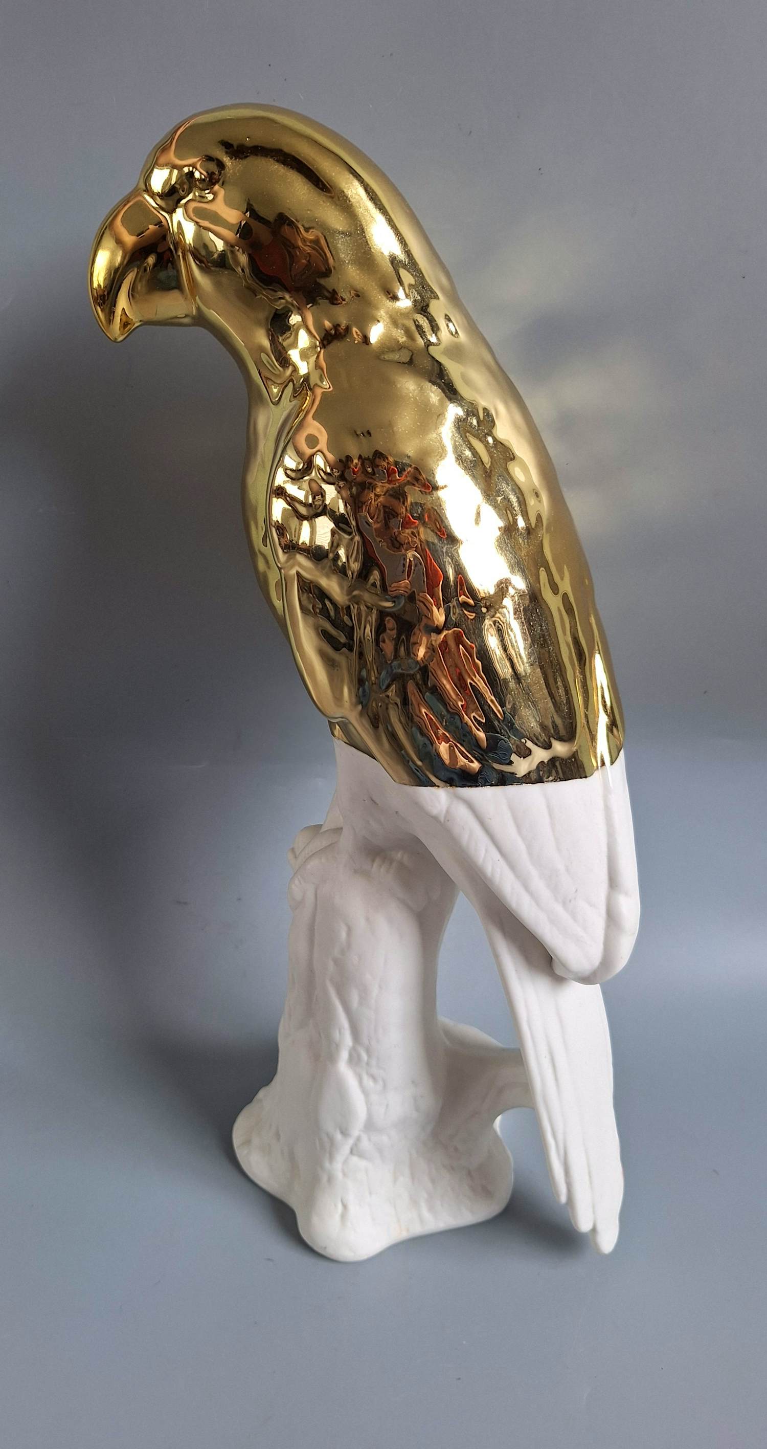 Pols Potten - Papegaai verkocht voor € 20!