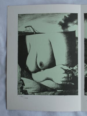 Nicolaas Wijnberg - Litho , Borsten – bijlage tijdschrift Petit No 4 - 1980 kopen? Bied vanaf 30!