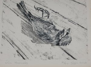 Wim Heemels - gesigneerde ets : Kat en dode mus kopen? Bied vanaf 45!