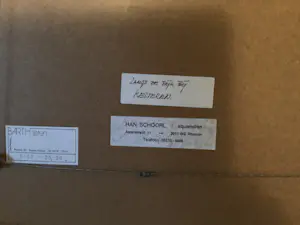 Han Schoorl - Langs de dijk bij Kesteren kopen? Bied vanaf 50!