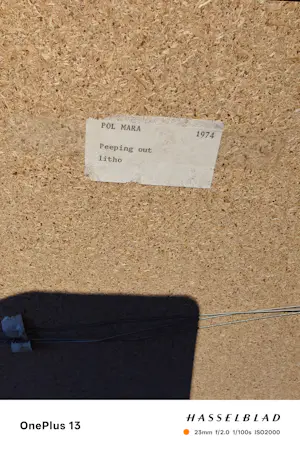 Pol Mara - Peeping Out kopen? Bied vanaf 300!