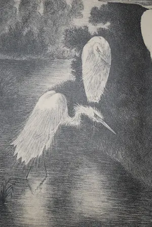 Niet of onleesbaar gesigneerd - art deco reigers - litho 1930 kopen? Bied vanaf 10!