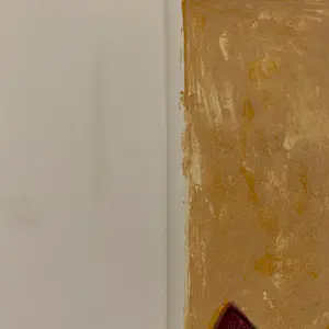 Fenneke van der Elst - Drie lelies kopen? Bied vanaf 10!