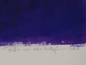 Ron van der Werf - Mysterie II kopen? Bied vanaf 50!