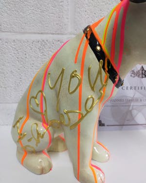 Hannes D'Haese - Hondje kopen? Bied vanaf 125!