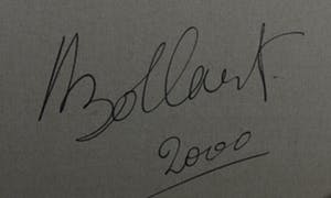 Jan Bollaert - Acryl op doek, United (Zeer groot) kopen? Bied vanaf 500!