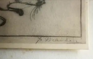 Jan Mankes - Muis. Heliogravure. kopen? Bied vanaf 1!