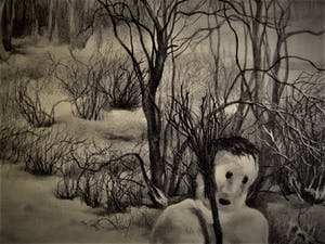 Aart van Dobbenburgh - Grafisch Realisme - Beperkte Oplage (50) - Litho "de Sneeuwman" gesigneerd kopen? Bied vanaf 10!