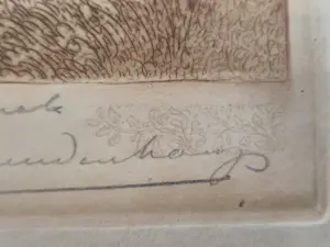 Wijnand Otto Jan Nieuwenkamp - De Oude Watermolen kopen? Bied vanaf 200!