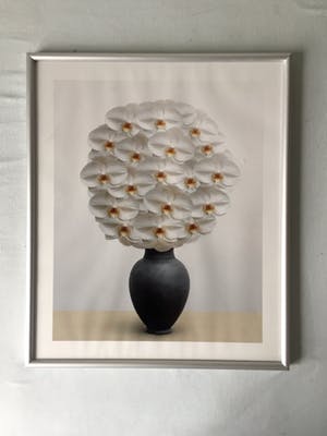 Holger Niehaus - Vaas met witte orchideeën - Fotografie, Ingelijst kopen? Bied vanaf 80!