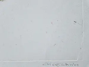 Cees Kortlang - Grote handgekleurde reliëf Ets/aquatint - potloodges. - zeer kleine oplage (10) kopen? Bied vanaf 59!