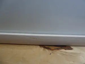 Dominique Chan - Zeefdruk, Titel, Borderline . kopen? Bied vanaf 40!