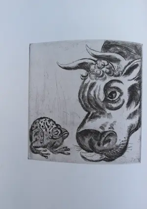 Jeanne Bieruma Oosting - 12 etsen in boek "fabels van la fontaine" (gesigneerd) kopen? Bied vanaf 495!