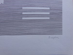 Michel Seuphor - LOT VAN 2 STUKS / GEOMETRIE / ZW-W LITHO / 75x55cm / SIG kopen? Bied vanaf 45!