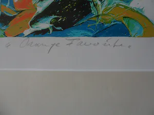 JAS - Zeefdruk, Orange Favorite - Ingelijst kopen? Bied vanaf 35!