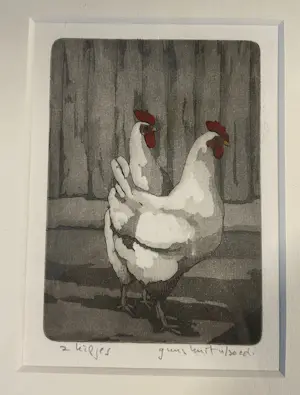 Guus Kuit - 2 Kipjes kopen? Bied vanaf 30!