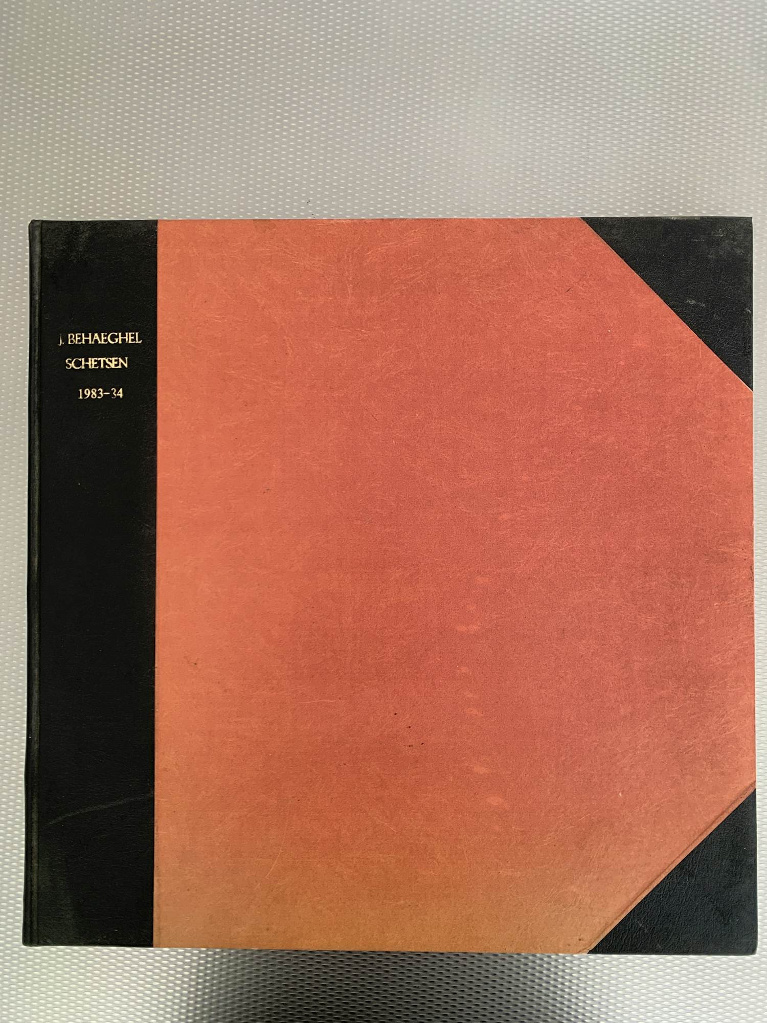 Buy Jeanine Behaeghel - schetsboek met meer dan 160 tekeningen? Bid from 300!