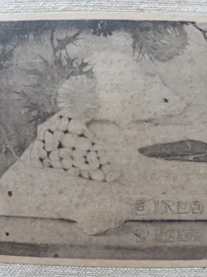 Jan Mankes - Muisje op boekje. kopen? Bied vanaf 79!