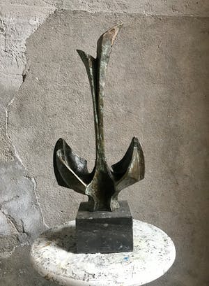 Rien Goene - Groei kopen? Bied vanaf 1450!