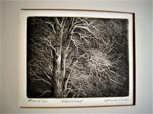 Freerk Los - Zeldzaam mooie Mezzotint "Herfstbos bij Nacht" gesigneerd verkocht voor € 10!