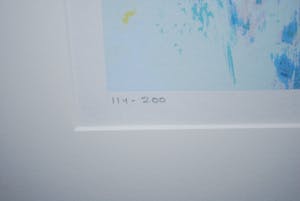 Mattie Schilders - Water - mooi ingelijste zeefdruk, 2006 kopen? Bied vanaf 40!